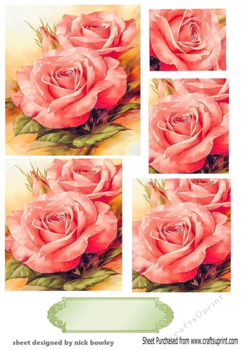 pretty pink roses with pyramid layers - CUP1144992_415 | Craftsuprint