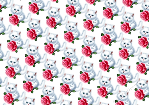 White Fluffy Cute Kitten With Red Rose Backing Paper - CUP1227379_415 ...