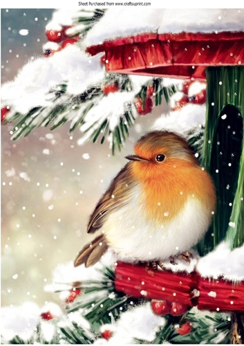 Lovely Robi Lovely Robin In The Snow House A4 - CUP1253718_415 | Craftsuprint