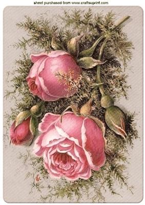 Pink Winter Roses with Brambles A4 - CUP496118_415 | Craftsuprint