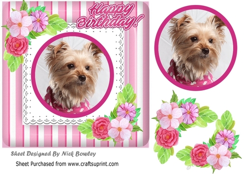 Cute yorkie puppy with corner flowers, pink striped 7x7 frame ...