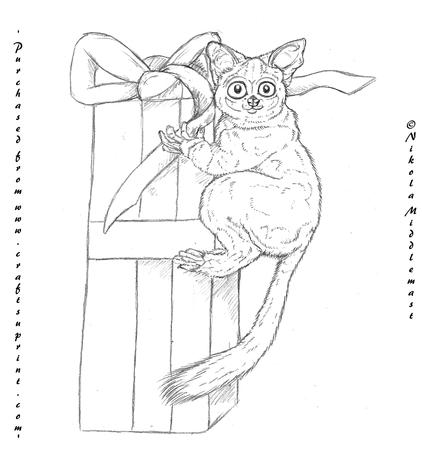 Bush Baby Gift - CUP486791_1006 | Craftsuprint