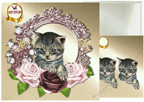 kitten and roses - CUP853341_48749 | Craftsuprint