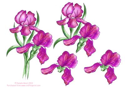 Watercolour Pink Irises Decoupage Sheet - CUP398419_117 | Craftsuprint