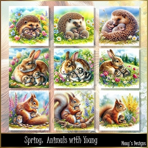 Spring: Animals with Young - Illustrations for Cards - CUP1371240 ...