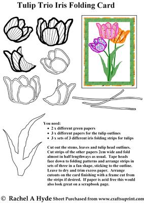 Tulip Trio Iris Folding Card - CUP677615_155 | Craftsuprint