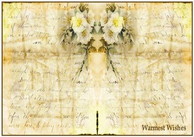 White Roses Insert 1 - CUP514296_719 | Craftsuprint