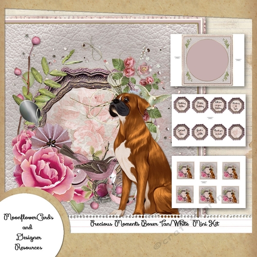 Precious Moments Boxer Tan/White Mini Kit CUP1146631_77133 Craftsuprint