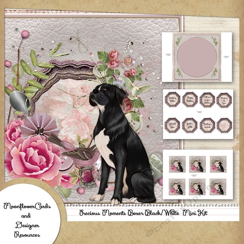 Precious Moments Boxer Black/White Mini Kit CUP1146633_77133