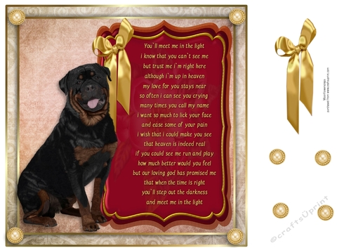 8x8 Pet loss Rottweiler - CUP892732_77133 | Craftsuprint
