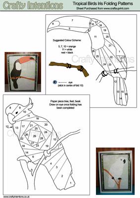 Tropical Birds Iris Folding Patterns - CUP12148_172 | Craftsuprint