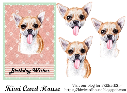 Chihuahua Birthday Card - CUP1196125_87679 | Craftsuprint