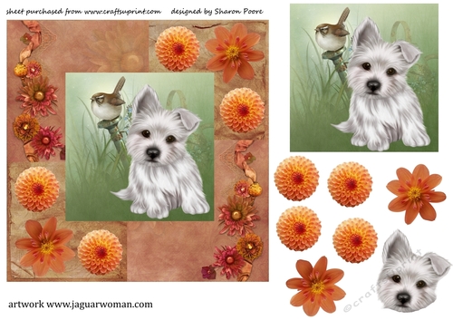 Cute puppy card front - CUP753214_539 | Craftsuprint
