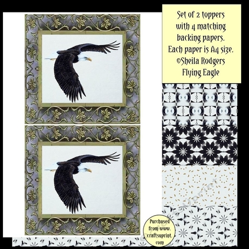 Topper Kit - Flying Eagle - CUP714028_66 | Craftsuprint