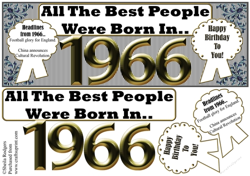 BORN IN 1966 - CUP799837_66 | Craftsuprint
