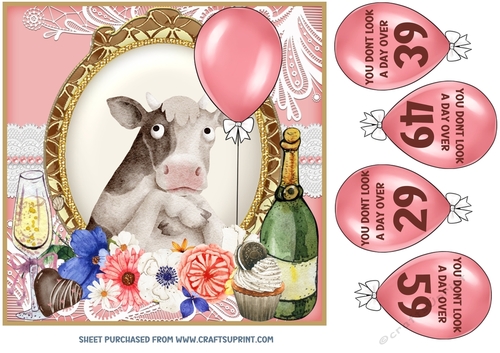 You dont look a day over Birthday card front 7 - CUP1171661_659