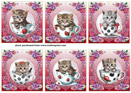 6 Floral kitten in cup toppers - CUP1205254_659 | Craftsuprint