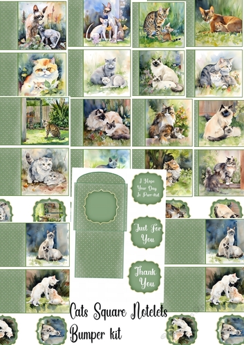 Cats square notelets bumper kit - CUP1220517_659 | Craftsuprint