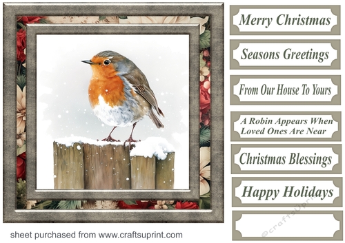 Christmas robin card front 3 - CUP1240488_659 | Craftsuprint