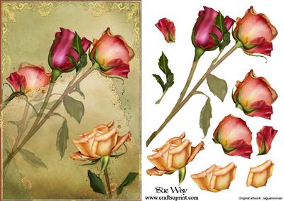 Ruby Roses Print Peach and Ruby Roses on Soft Lace Card Front - CUP390526_38 | Craftsuprint