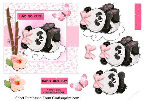 panda baby items