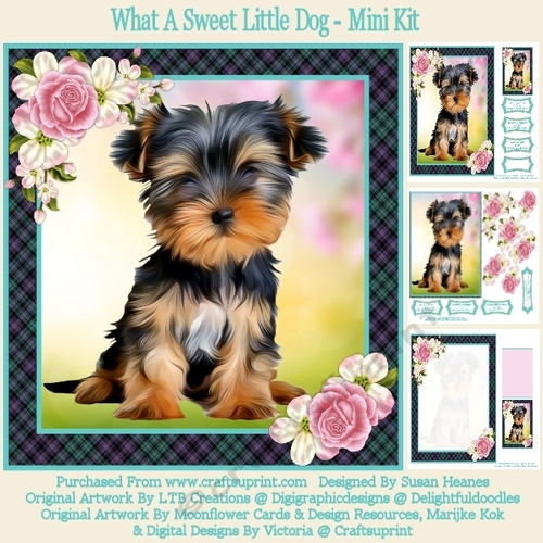My Little Dog Kit main image 0