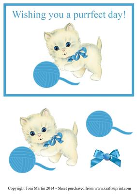Wishing You a Purrfect Day - Cute Kitten / Cat Birthday Card