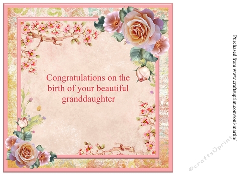 New Baby Granddaughter Card Insert - CUP723309_1894 | Craftsuprint