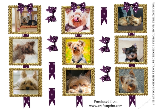 YORKIE PICTURE FRAME TOPPERS X 3 ANY OCCASION - CUP770816_25427 ...