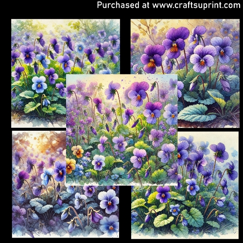 Spring flowers -Violets - CUP1357310_124952 | Craftsuprint