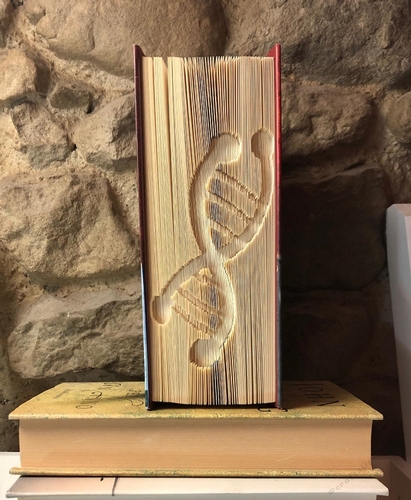 Cut and fold art image