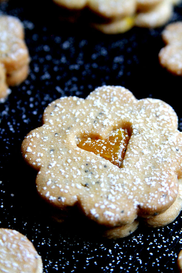 Lemon Poppy Seed Linzer Cookies A Cup of Sugar … A Pinch of Salt