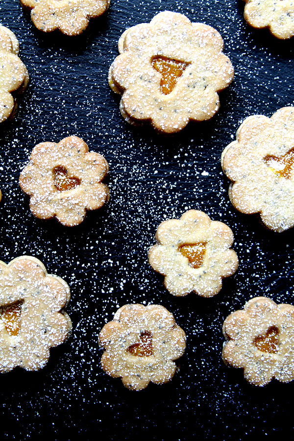 Lemon Poppy Seed Linzer Cookies A Cup of Sugar … A Pinch of Salt