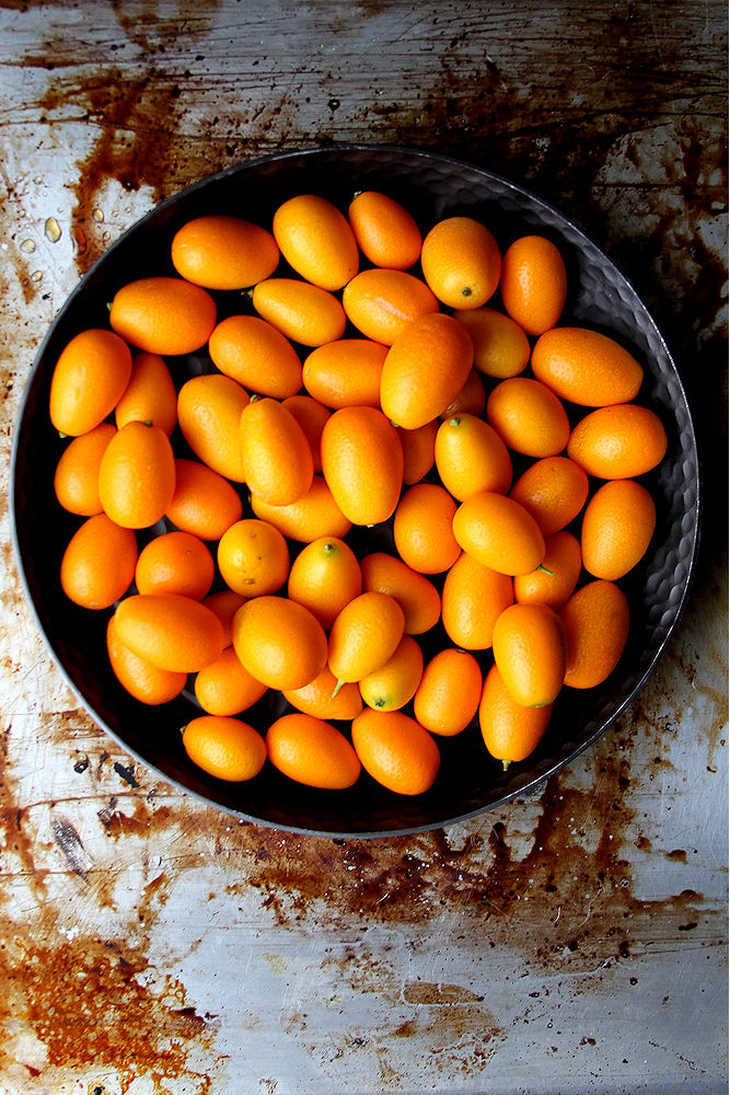 Meyer Lemon Bars with Candied Kumquats – A Cup of Sugar … A Pinch of Salt