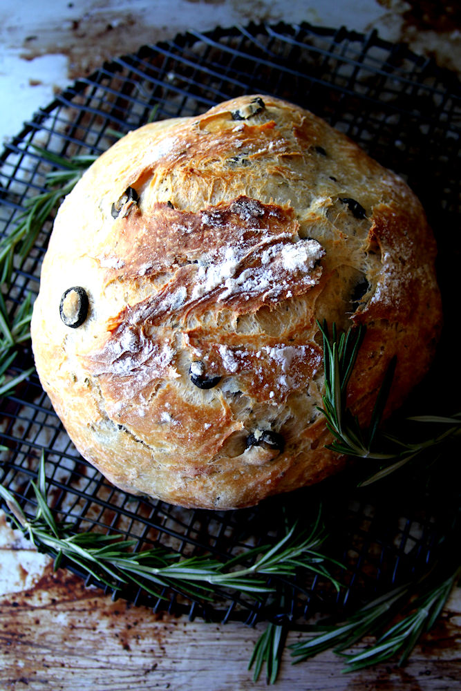 Rustic Rosemary Olive Loaf A Cup of Sugar … A Pinch of Salt