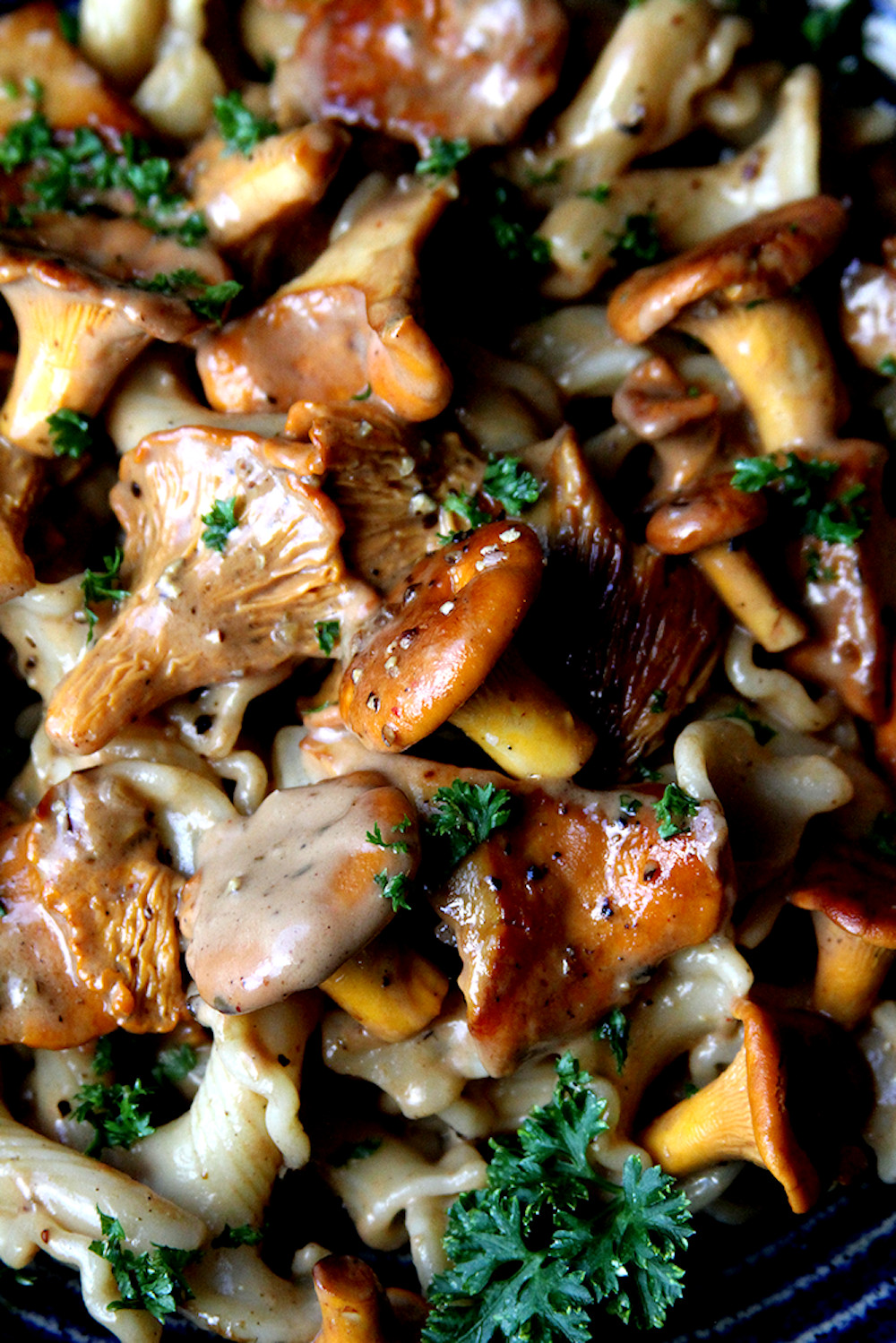 Foraged Chanterelles in Pepper Cream Sauce, with Pasta A Cup of Sugar