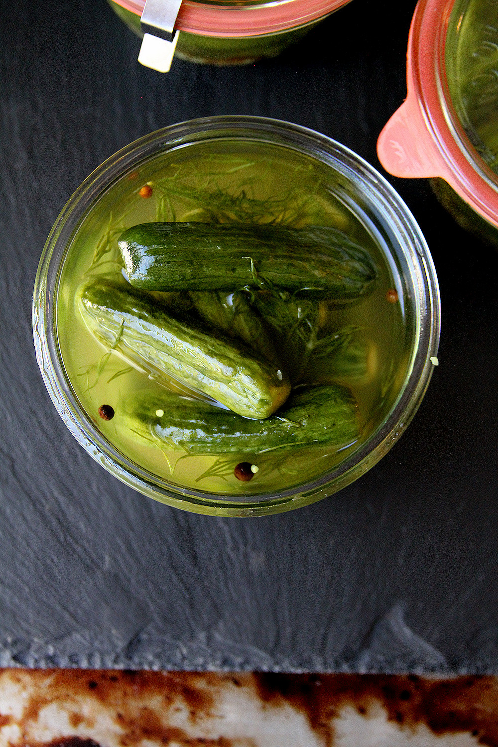 Baby Dill Refrigerator Gherkins (Cornichon) A Cup of Sugar … A Pinch