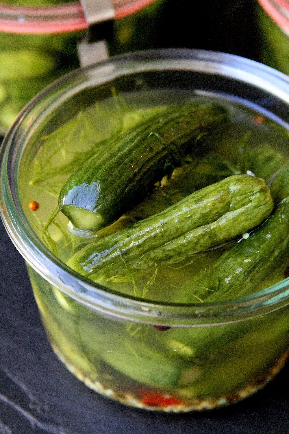 Baby Dill Refrigerator Gherkins (Cornichon) A Cup of Sugar … A Pinch