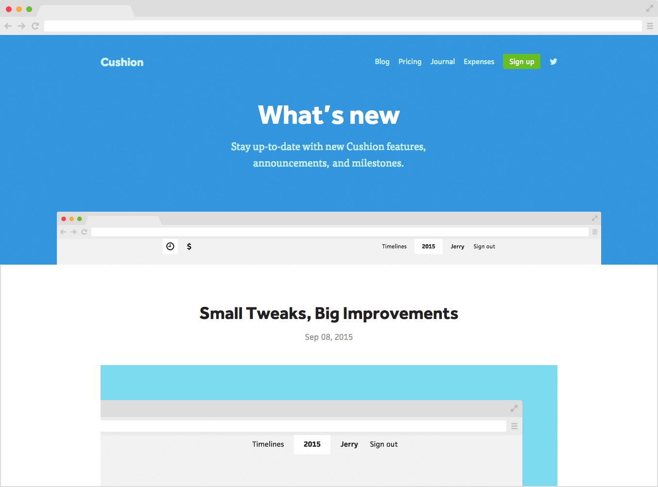 Spreading the Word Cushion