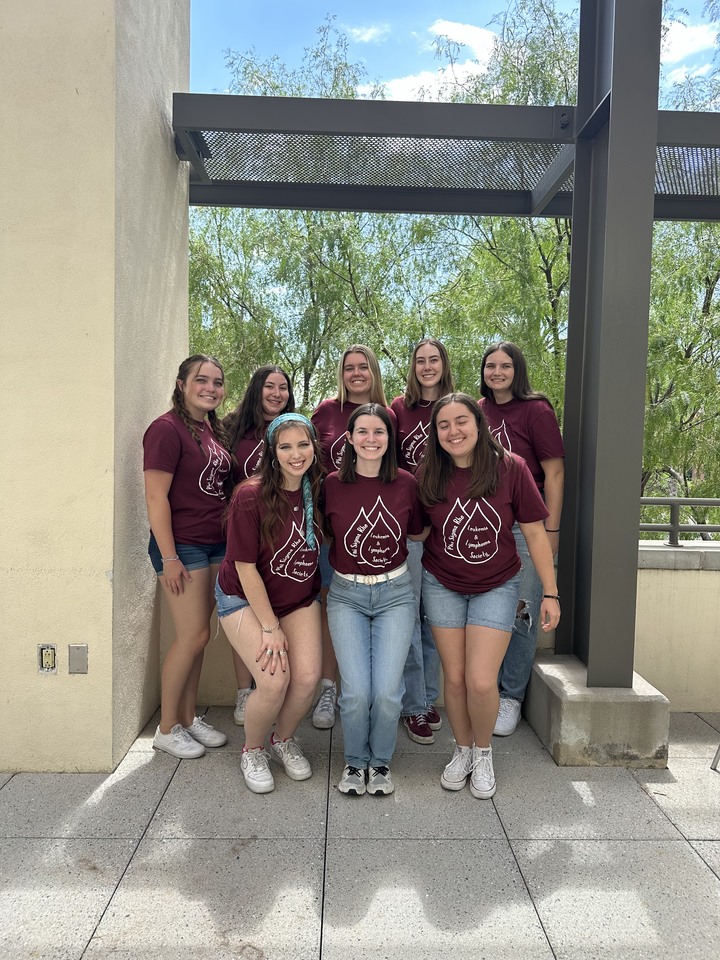 Set 2 Of Recruitment   Philanthropy Round T-Shirt Photo