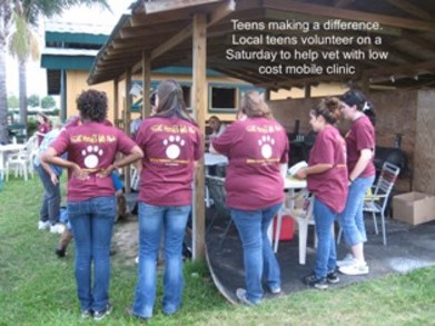 Teens' Hooves & Paws T-Shirt Photo