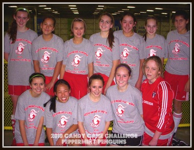 Peppermint Penguins Hit The Pitch 2010 Candy Cane Challenge T-Shirt Photo