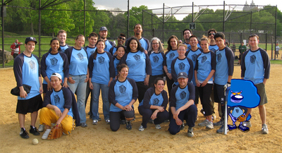 Designated Hitters T-Shirt Photo