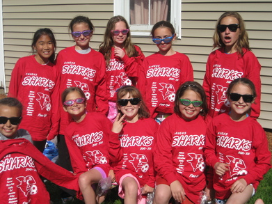 Shark Bite T-Shirt Photo