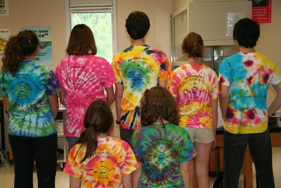 Formula For An Idea Class: Ap Chem 2011 T-Shirt Photo