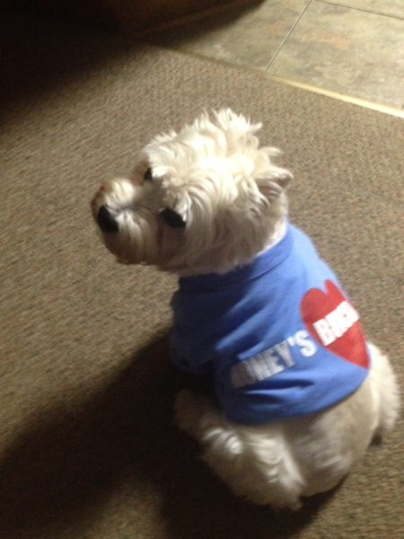 Honey's Bunch Includes Maggie Too!  T-Shirt Photo