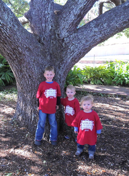 My 3 Grandsons T-Shirt Photo