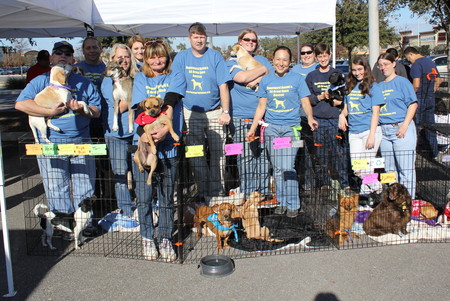 Honeward Bound & San Antonio Great Dane Rescue Hard At Work & Cuddling Finding These Homeless Pets A Forever Home@! T-Shirt Photo