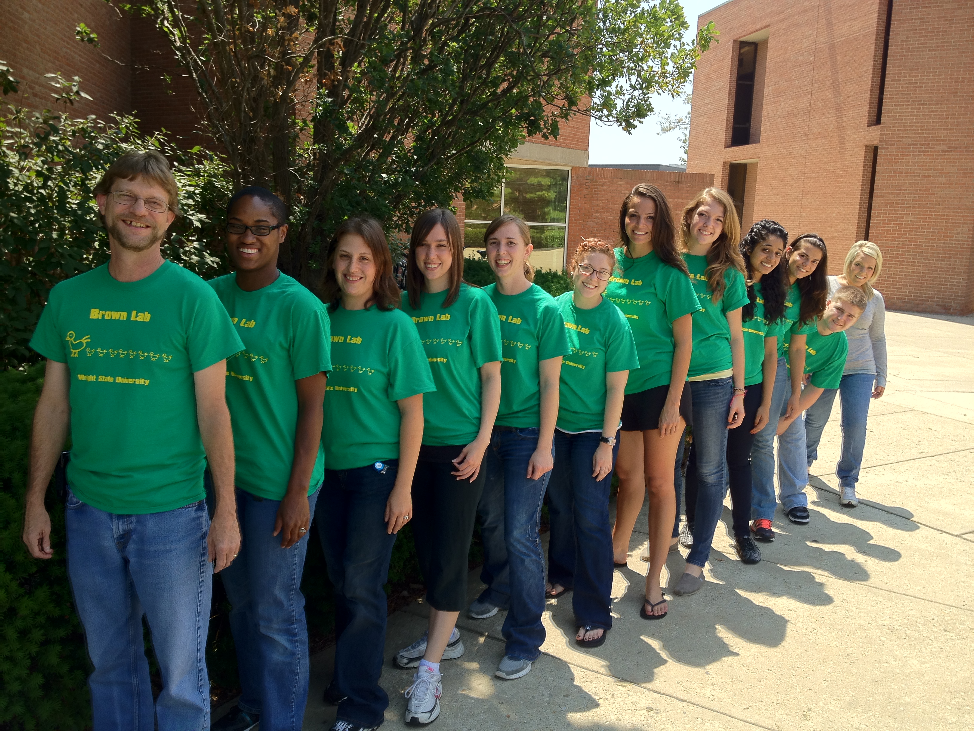 Custom TShirts for Brown Lab Shirt Design Ideas