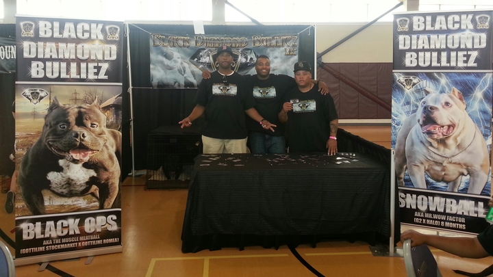 Have A Blast At The Dog Show With Our Custom Ink T Shirts On.. T-Shirt Photo